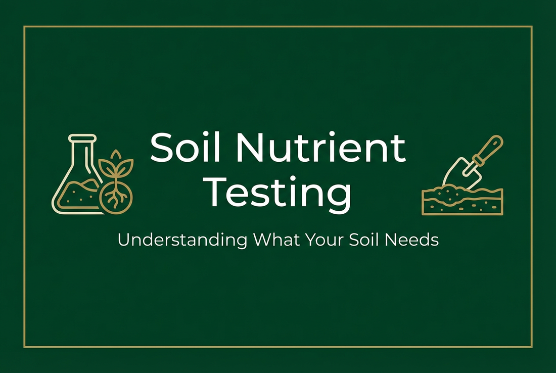Soil Nutrient Testing: Understanding What Your Soil Needs