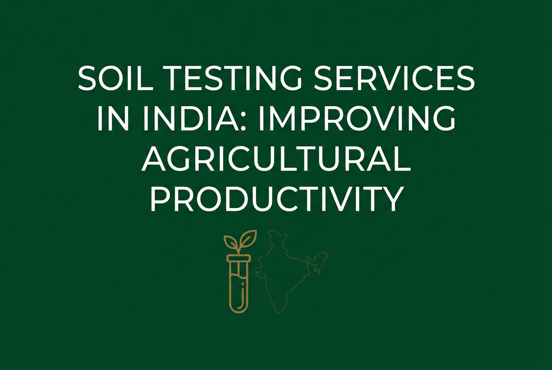 Soil Testing Services in India: Improving Agricultural Productivity