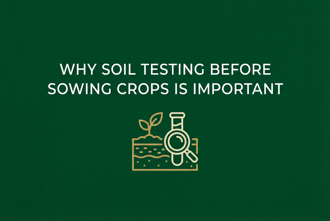 Why Soil Testing Before Sowing Crops Is Important